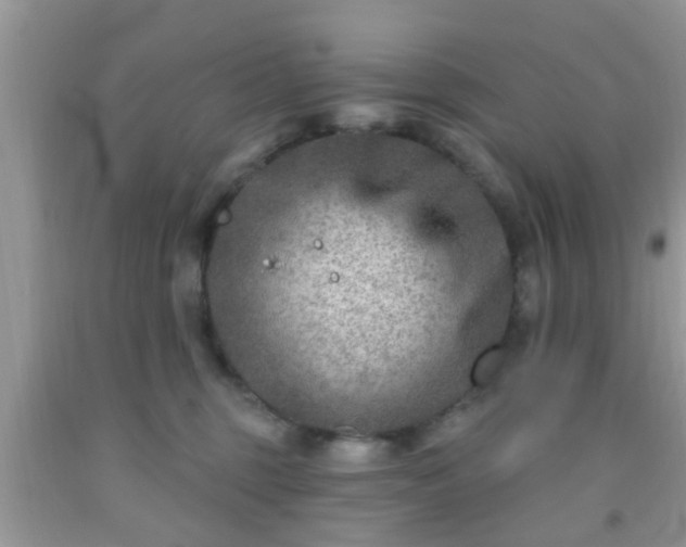 X0000092040375200709191105