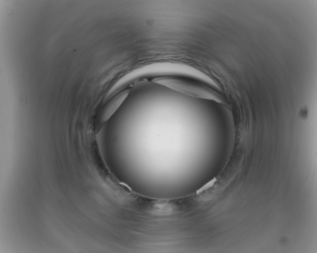 X0000092040376200709191105