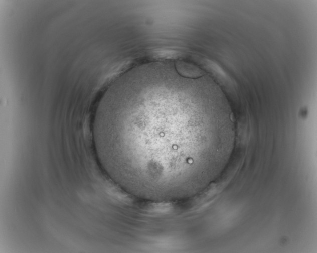 X0000092040377200709191105