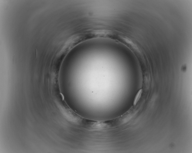 X0000092040379200709191105