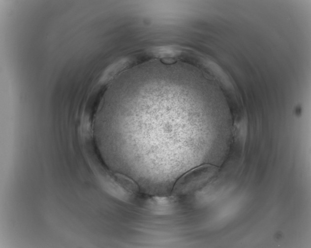 X0000092040381200709191105