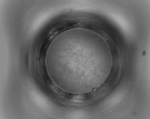 X0000092040382200709191105