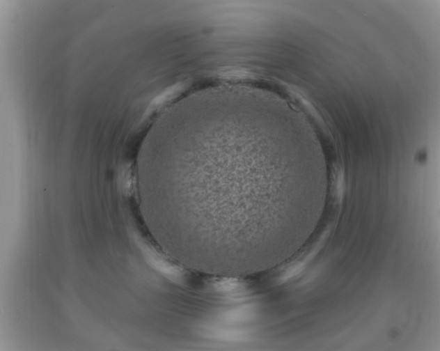 X0000092040383200709191105