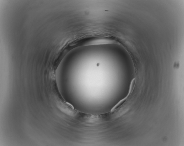 X0000092040384200709191105