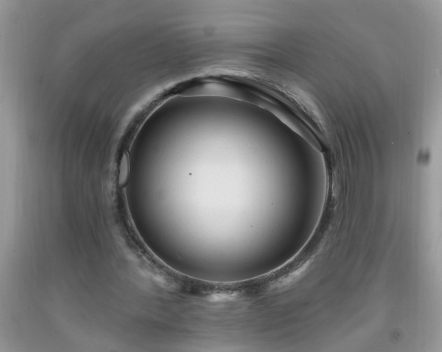 X0000092040388200709191105