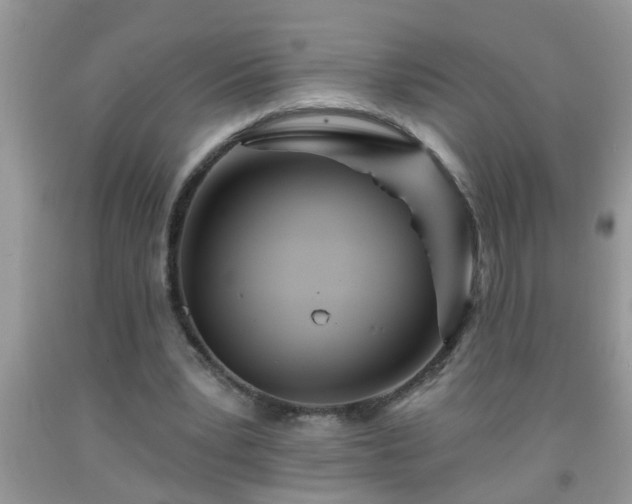 X0000092040391200709191105