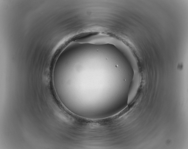 X0000092040392200709191105