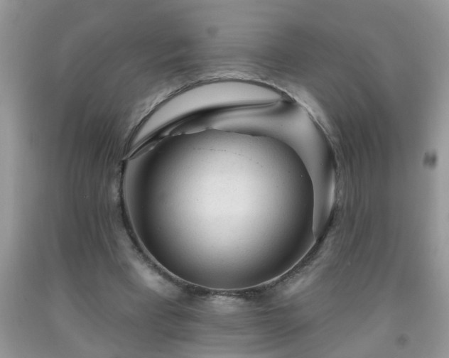 X0000092040393200709191105