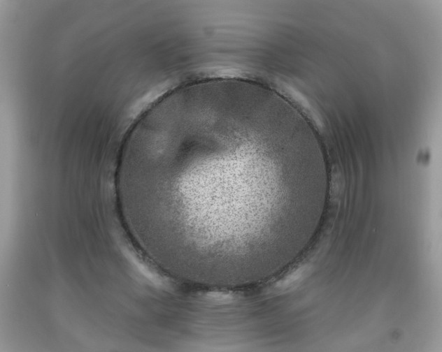 X0000092040394200709191105