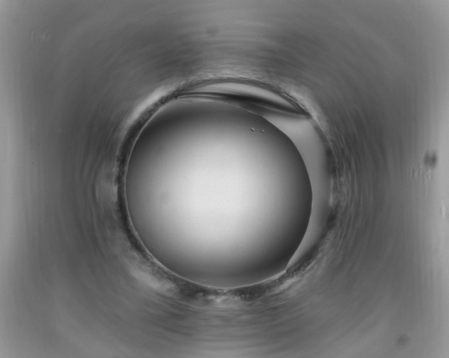 X0000092040395200709191105