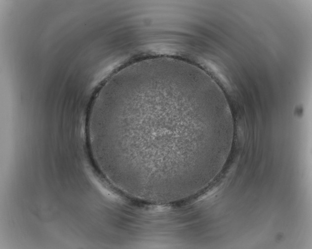 X0000092040398200709191104