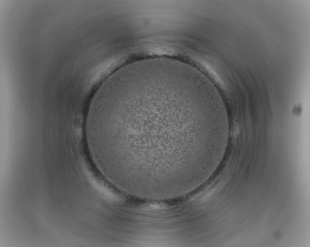 X0000092040402200709191104