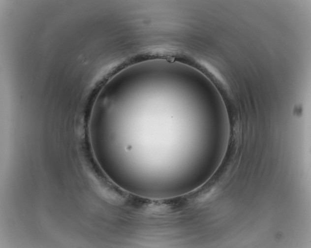 X0000092040403200709191104