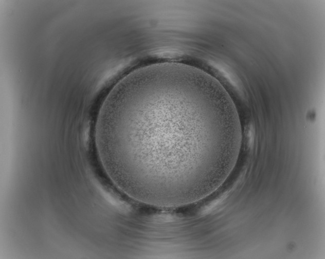 X0000092040404200709191104