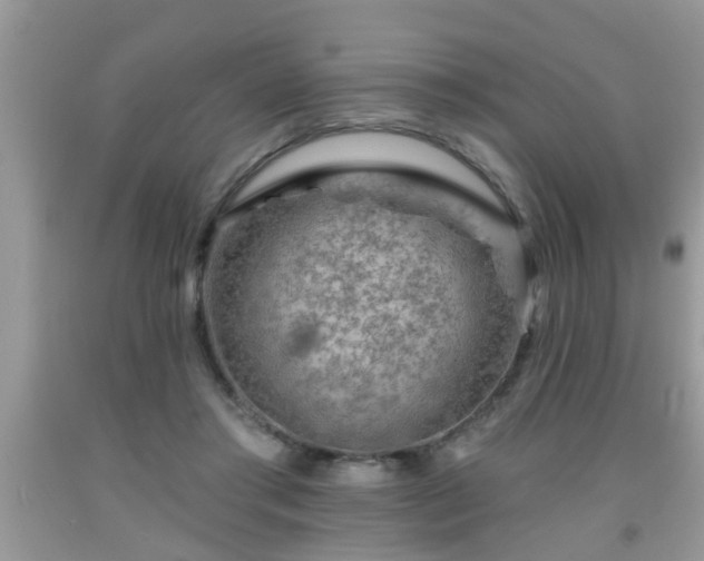 X0000092040405200709191104