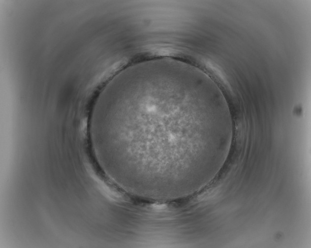 X0000092040406200709191104