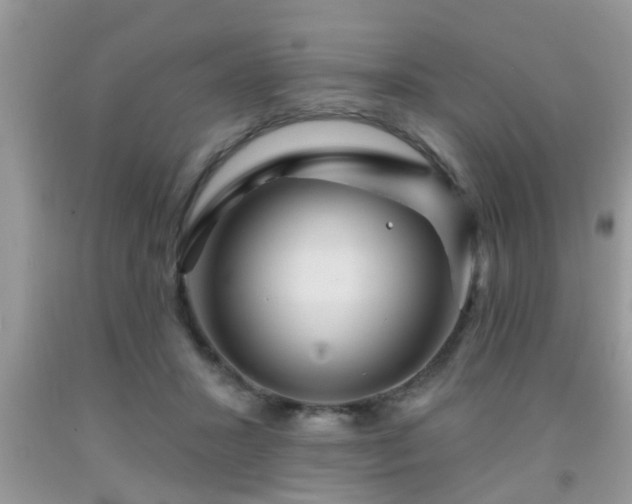 X0000092040407200709191104