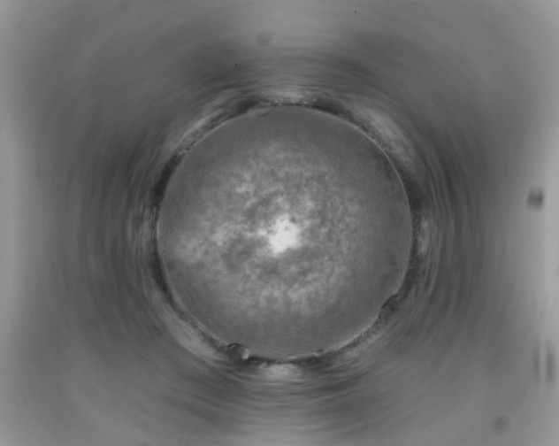 X0000092040409200709191104