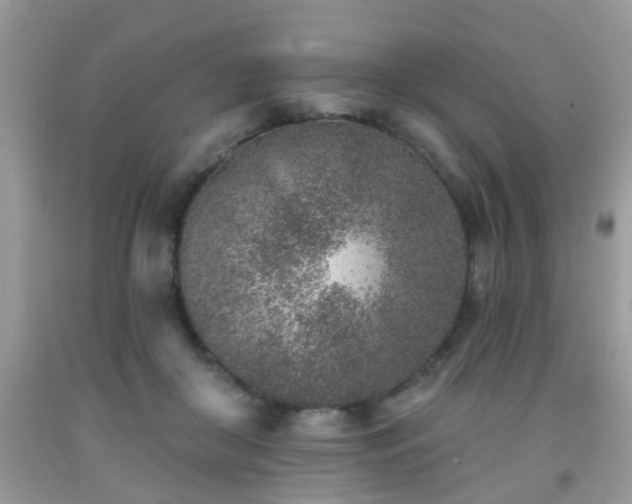 X0000092040410200709191104