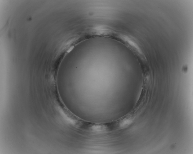 X0000092040415200709191104