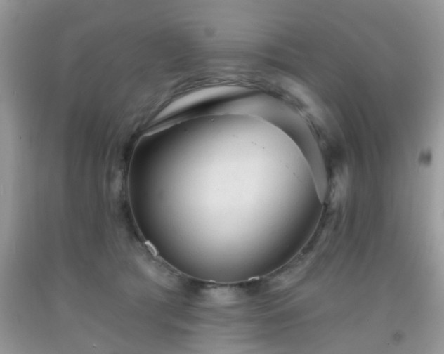 X0000092040417200709191104