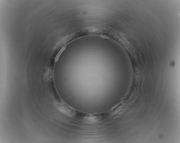 X0000092040419200709191104