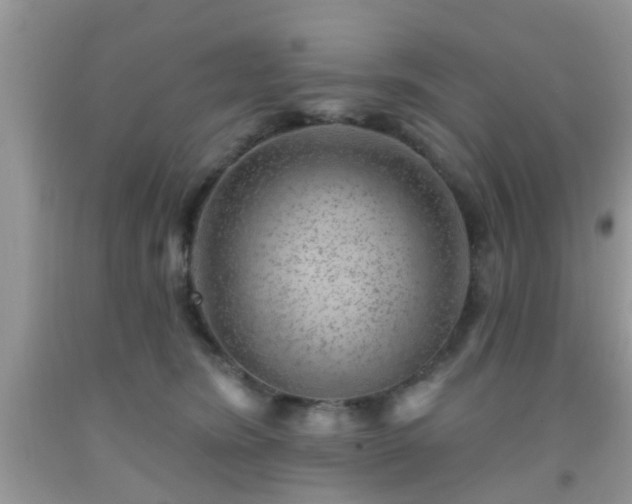 X0000092040420200709191104