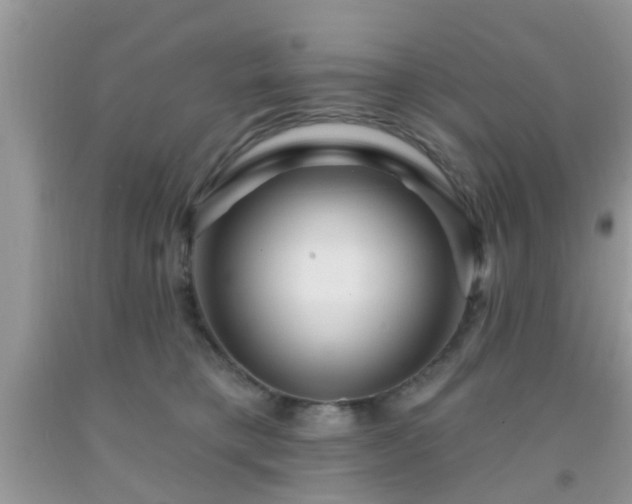 X0000092040421200709191104