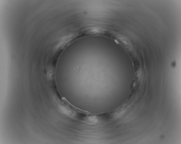 X0000092040423200709191104