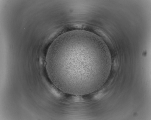 X0000092040424200709191104