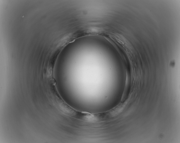 X0000092040425200709191104