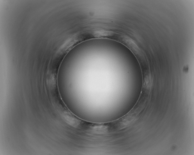 X0000092040426200709191104