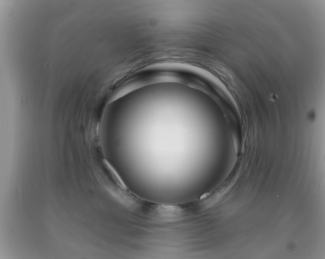 X0000092040429200709191104