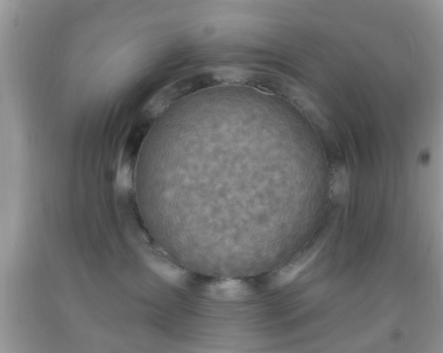 X0000092040431200709191104