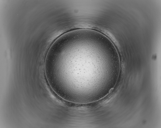 X0000092040433200709191103