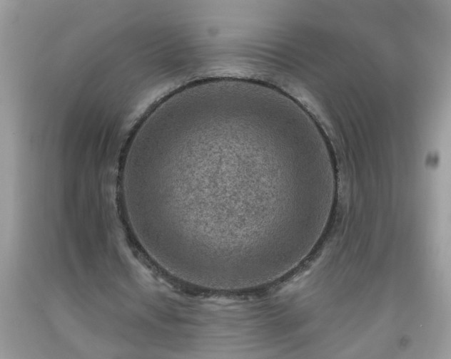 X0000092040434200709191103