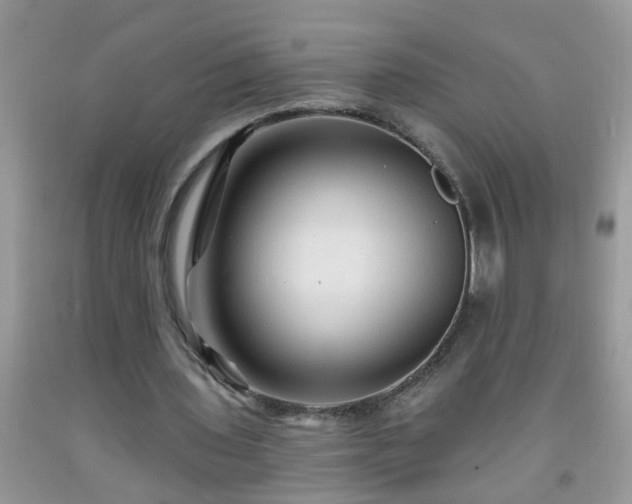 X0000092040435200709191103