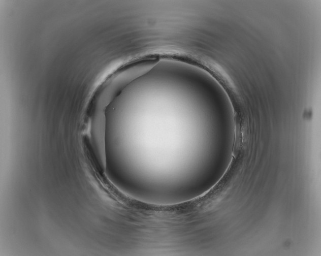 X0000092040436200709191103