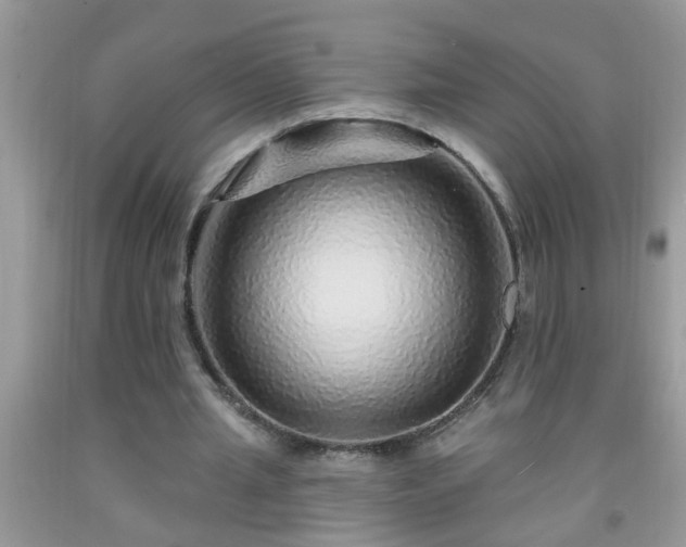 X0000092040437200709191104