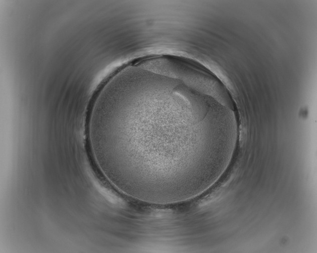 X0000092040438200709191104