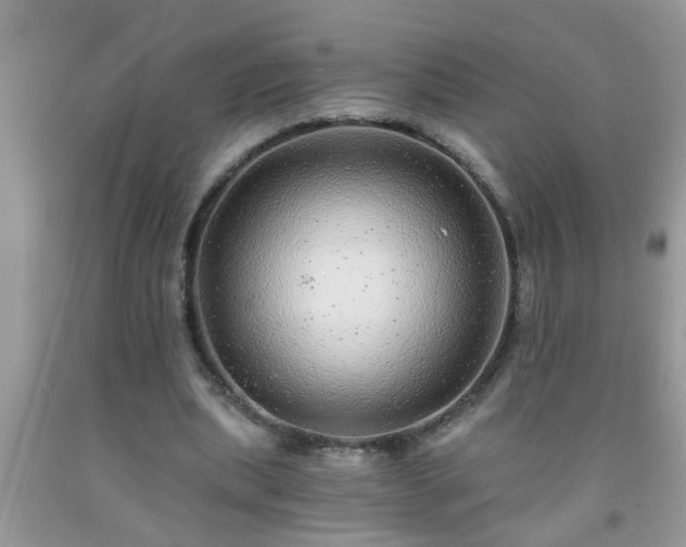 X0000092040439200709191104