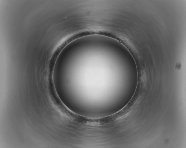 X0000092040440200709191104