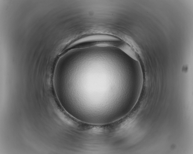 X0000092040441200709191104