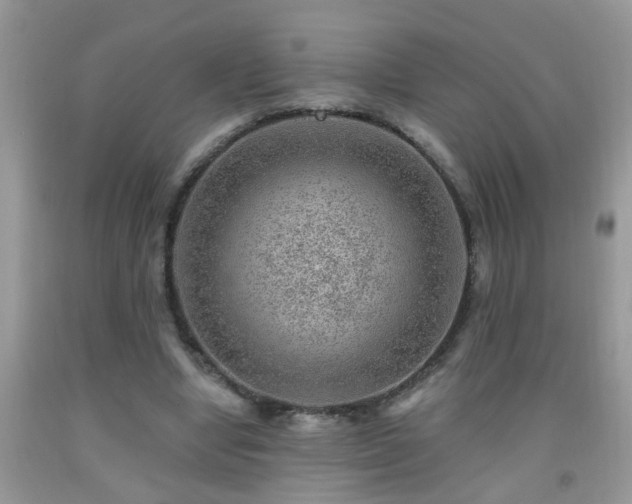 X0000092040442200709191104