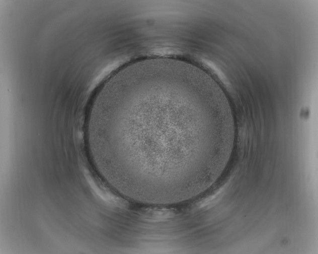 X0000092040443200709191104