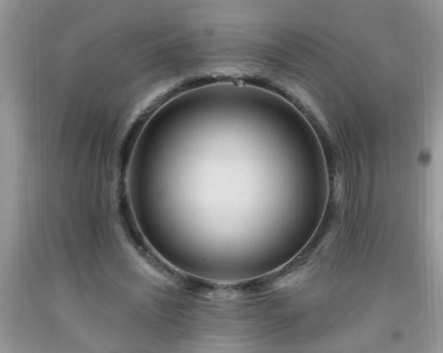 X0000092040444200709191104