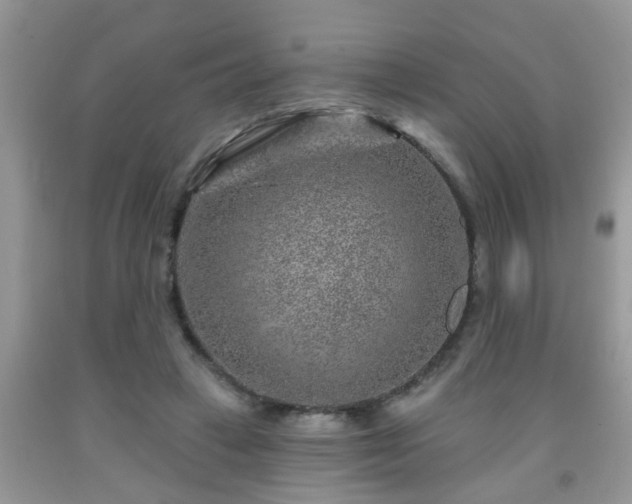 X0000092040449200709191104