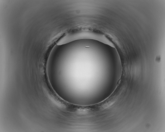 X0000092040450200709191104