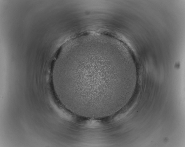 X0000092040451200709191104