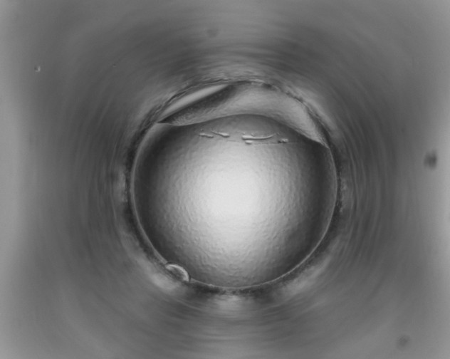 X0000092040453200709191104